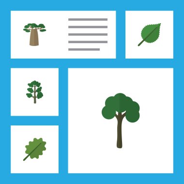 Düz simgesi ekoloji Baobab, Linden, orman ve diğer vektör nesnelerini ayarlayın. Ayrıca meşe, ahşap, Park unsurları içerir.