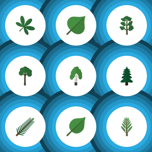 Düz simgesi ekoloji kümesi ıhlamur, akçaağaç, Evergreen ve diğer vektör nesneleri. Ayrıca ahşap, Linden, Ladin elemanları içerir.