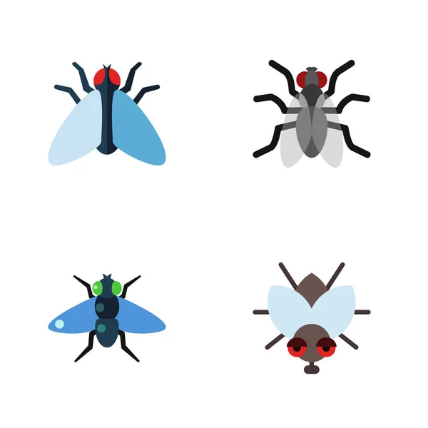 Housefly płaskie Icon Set Mucha domowa, Komar, odchodów i innych obiektów wektorowych. Również elementy owadów, Hum, komara,. — Wektor stockowy