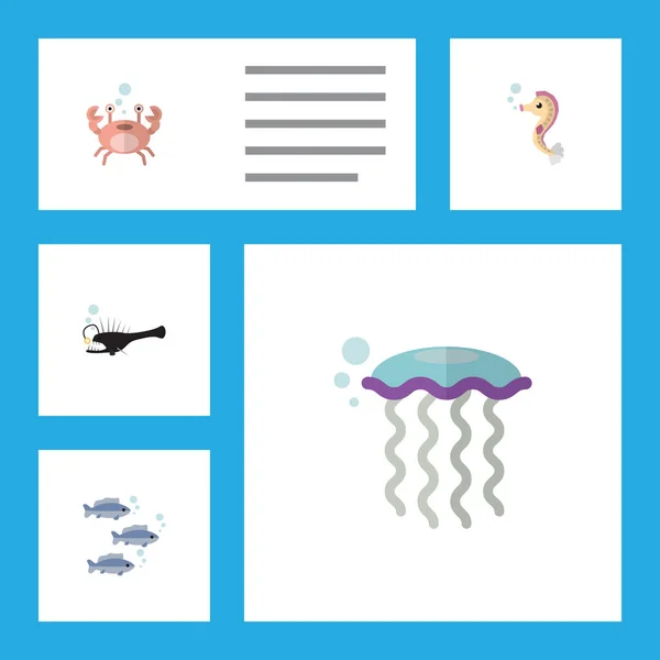 Icono plano Naturaleza conjunto de peces, hipocampo, atún y otros objetos vectoriales. También incluye bajo el agua, mariscos, elementos del pescador . — Vector de stock