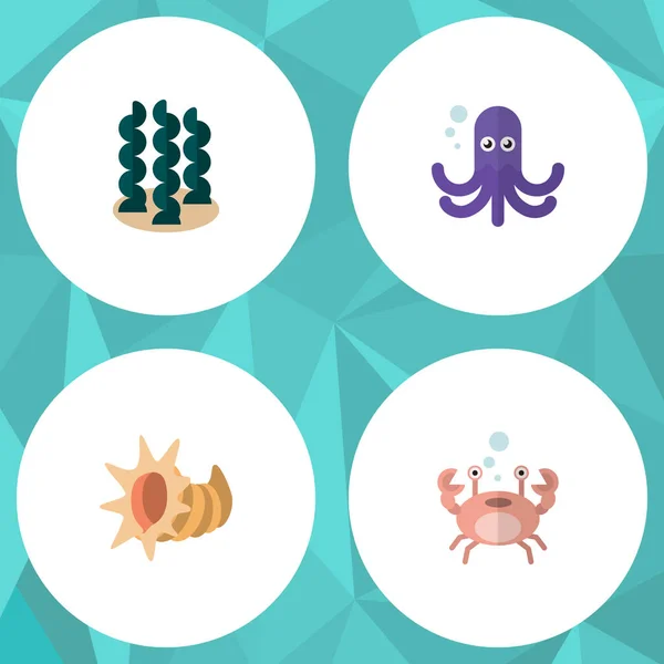 Conjunto de natureza de ícone plano de concha, Alga, câncer e outros objetos vetoriais. Também inclui algas marinhas, concha, Octopus Elements . —  Vetores de Stock