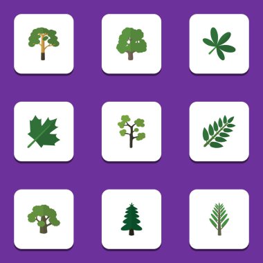 Düz simgesi ekoloji Parkı, akasya yaprağı, Bahçe ve diğer vektör nesnelerini ayarlayın. Ayrıca ağaç, yaprak, meşe öğeleri içerir.