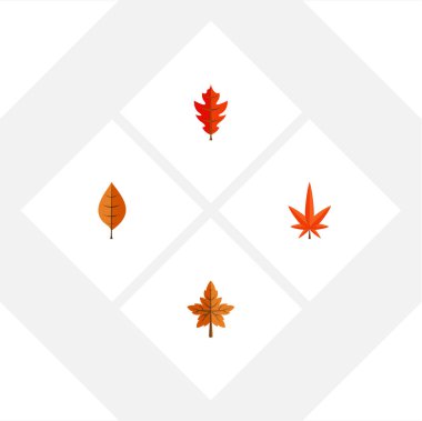 Düz simgesi akçaağaç Aspen, yaprak, yeşillik ve diğer vektör nesneleri kümesi. Ayrıca yeşillik, Linden, Aspen öğeleri içerir.