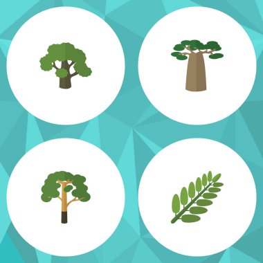 Ağaç, ağaç, yaprak ve diğer vektör nesnelerini düz simgesi doğal kümesi. Ayrıca ağaç, akasya, içerir orman öğeleri.