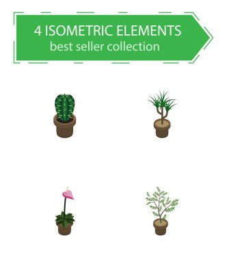 İzometrik Houseplant Houseplant, üretici, Fern ve diğer vektör nesneleri kümesi. Ayrıca Houseplant, saksı, bitki elemanları içerir.