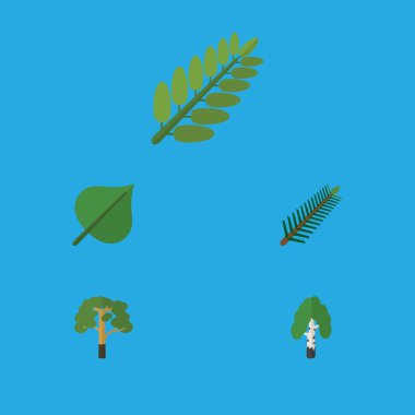 Ladin düz simgesi doğal kümesi bırakır, yaprakları, kereste ve diğer vektör nesneleri. Ayrıca içerir yaprağı, biberiye, çeki düzen vermek öğeler.