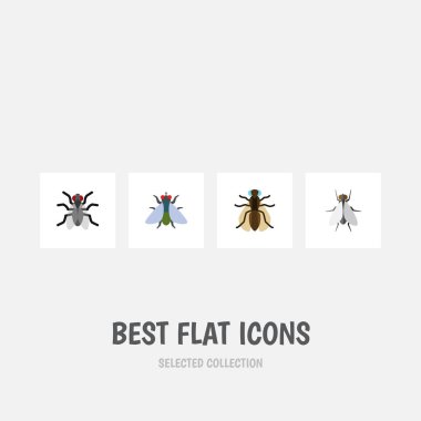 Düz sinek Icon Set uğultu, sinek, Sivrisinek ve diğer vektör nesneleri. Tatarcık, Hum, sinek öğeleri de içerir.