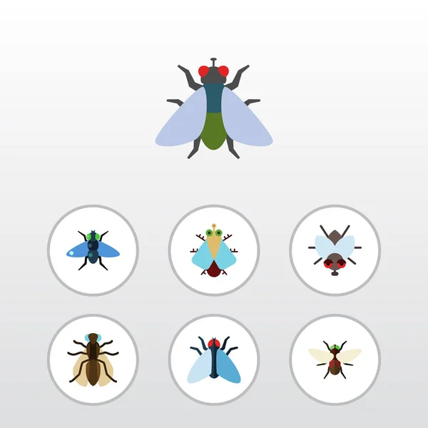 Flat Icon Housefly Set of Buzz, Tiny, Mosquito and Other Vector Objects. Также включены Buzz, Fabat, Blueberle Elements . — стоковый вектор