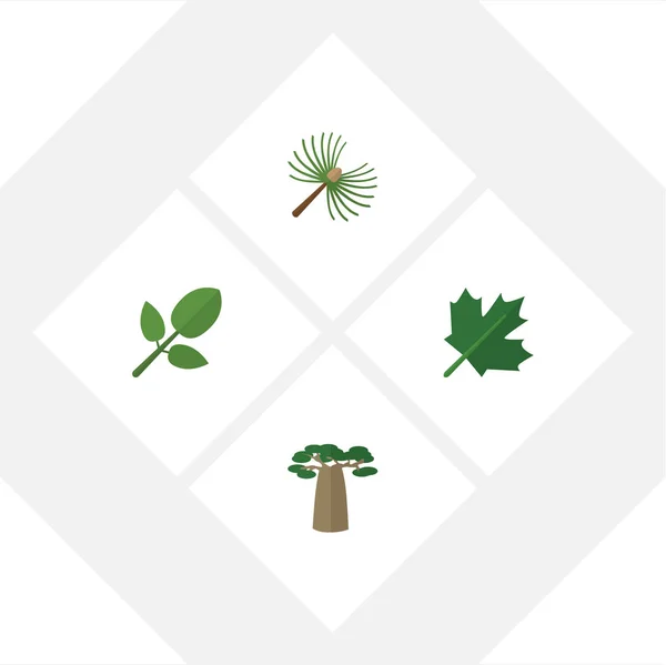 Природный набор плоских икон из баобаба, дуба, роземари и других векторных объектов. Также включает в себя Leaf, Baobab, ель слонов . — стоковый вектор