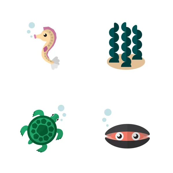 Icono plano conjunto de mar de vieira, hipocampo, tortuga y otros objetos vectoriales. También incluye vieira, caballo, elementos de concha marina . — Vector de stock