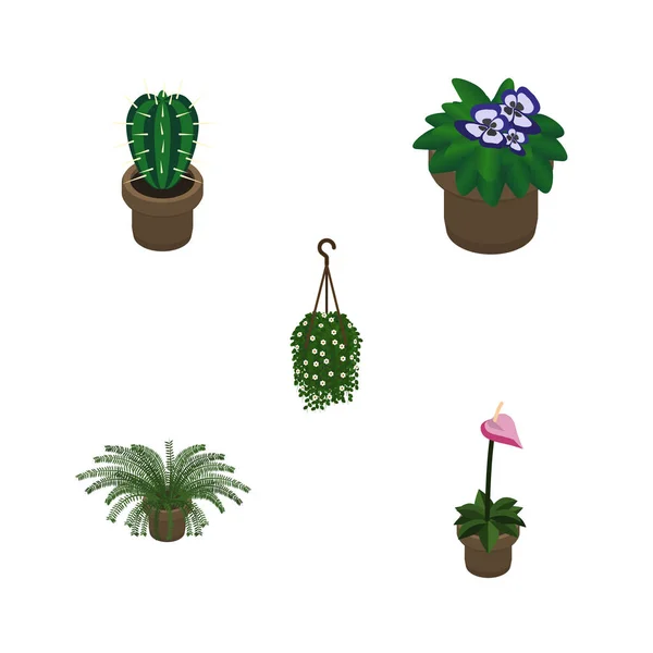 Conjunto de plantas isométricas de peyote, planta, flor y otros objetos vectoriales. También incluye maceta, colgante, elementos de flor . — Archivo Imágenes Vectoriales
