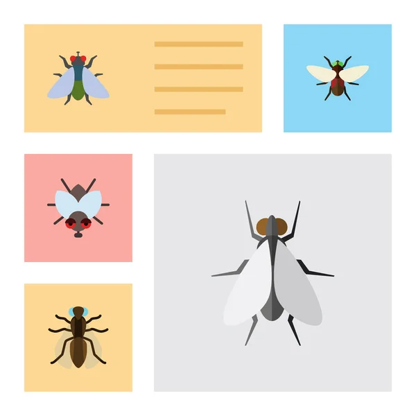 Icône plate Ensemble de mouche domestique de mouche, Bluebottle, moustique et autres objets vectoriels. Comprend également le fumier, la gnat, les éléments moustiques . — Image vectorielle