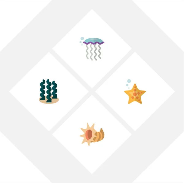 Flat Icon Nature Set Of Sea Star, Seashell, Medusa e outros objetos vetoriais. Também inclui concha, espirulina, elementos subaquáticos . —  Vetores de Stock