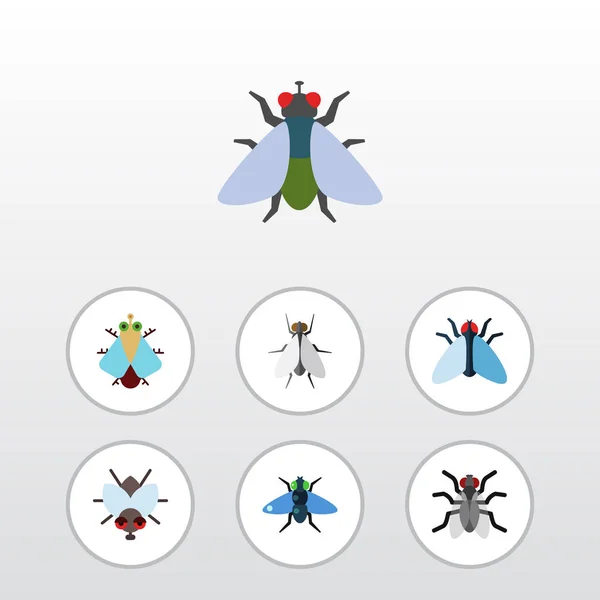 Flat Icon Housefly Set Of Fly, Tiny, Hum and Other Vector Objects. Также включает Blueberle, Housefly, Buzz Elements . — стоковый вектор