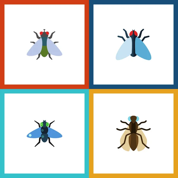 Flat Icon Buzz Set Of Dung, Fly, Housefly And Other Vector Objects. Also Includes Gnat, Dung, Insect Elements. — Stock Vector