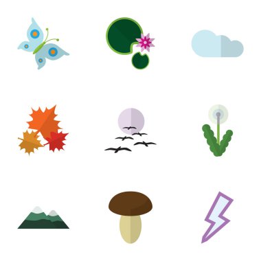 Düz simgesi ekoloji Monarch, yıldırım, martı ve diğer vektör nesnelerini ayarlayın. Ayrıca güve, kuş, martı unsurları içerir.