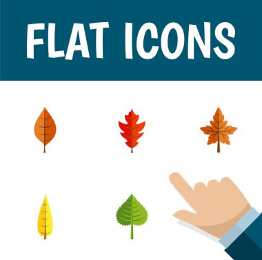 Düz simgesi akçaağaç Hickory, yaprak, yeşillik ve diğer vektör nesneleri kümesi. Ayrıca kızılağaç, yaprak, Linden öğeleri içerir.