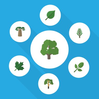 Düz simgesi ekoloji ahşap, orman, dekorasyon ağaç ve diğer vektör nesneleri kümesi. Ayrıca orman, Hickory, orman unsurları içerir.