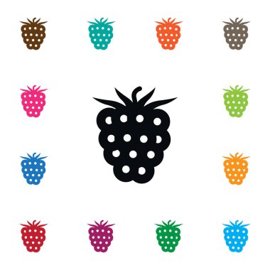 İzole Blackberry Simge. Tazelik vektör öğesi kullanılan Bramble, böğürtlen, böğürtlen tasarım konsepti için.