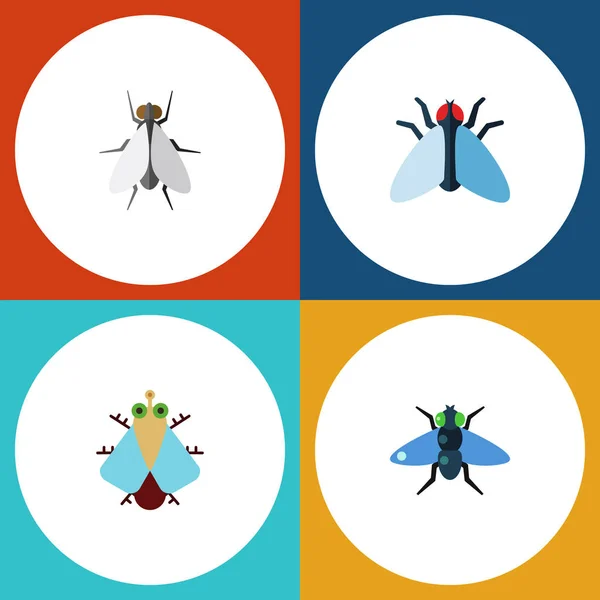 Conjunto de voadores de ícones planos de minúsculos, hum, esterco e outros objetos vetoriais. Também inclui Housefly, Dung, Bluebottle Elements . — Vetor de Stock