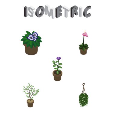 İzometrik Houseplant çiçek, saksı, çiçeği ve diğer vektör nesneleri kümesi. Ayrıca bitki, Pot, çiçek öğeleri içerir.