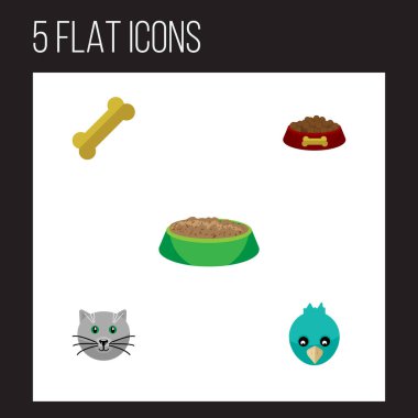 Sparrow, kemik, tavşan yemek ve diğer vektör nesnelerini düz simgesi hayvan kümesi. Ayrıca besin, kedi, tazı öğeleri içerir.