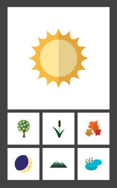 Düz simgesi doğa ağaç, Kanada, kuyrugu ve diğer vektör nesneleri kümesi. Ayrıca güneş, ağaç, güneş unsurları içerir.