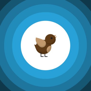 İzole serçe düz simgesi. Kuş vektör öğesi kullanılan serçe, kuş, kanat tasarım konsepti için.