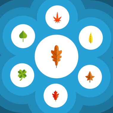 Düz simgesi yaprakları kümesi Hickory, pus, ıhlamur ve diğer vektör nesneleri. Ayrıca pus, meşe, Hickory öğeleri içerir.