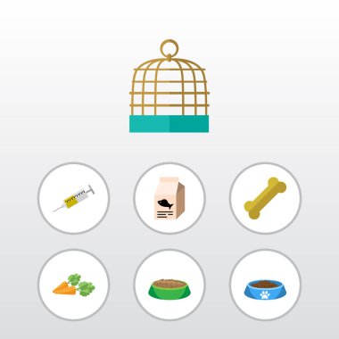 Kedi yeme, kuş hapis, tavşan yemek ve diğer vektör nesnelerini düz simgesi hayvan kümesi. Ayrıca tavşan, kedi, şırınga unsurları içerir.