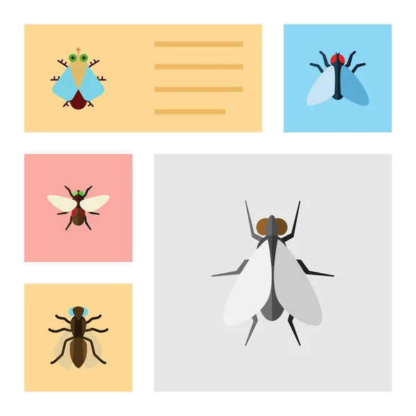 Flat Icon Fly Set Of Housefly, Tiny, Mosquito and Other Vector Objects. Также включает в себя Окито, Housefly, Крошечные слоны . — стоковый вектор