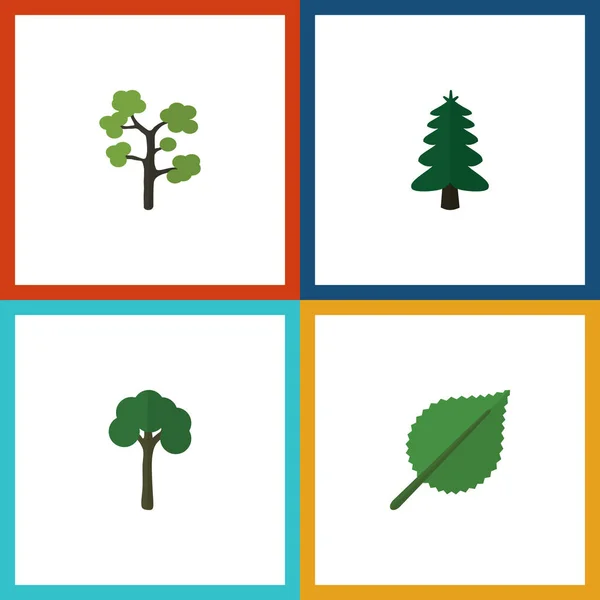 Platte Icon natuurlijke Set van Linden, Park, Evergreen en andere vectorobjecten. Bevat ook elementen van Evergreen, Park, boom. — Stockvector