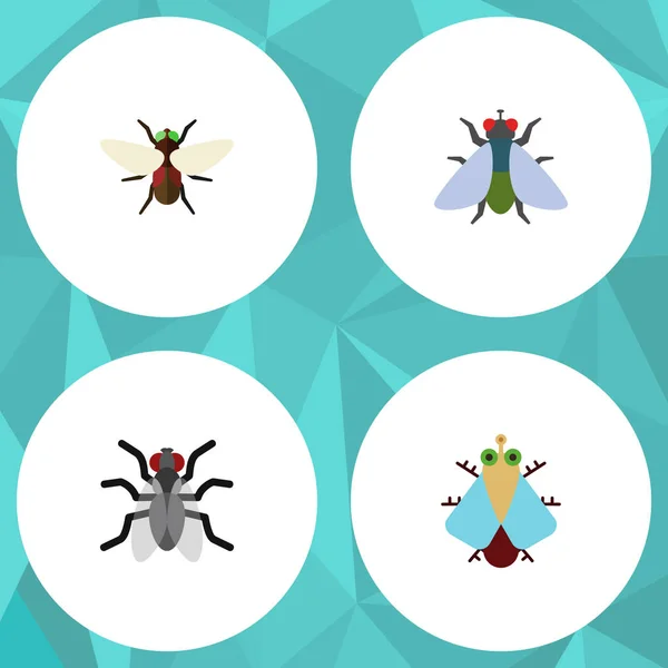 Conjunto de Buzz de ícones planos de Gnat, Fly, Bluebottle e outros objetos vetoriais. Também inclui insetos, mosquitos, elementos de Bluebottle . — Vetor de Stock