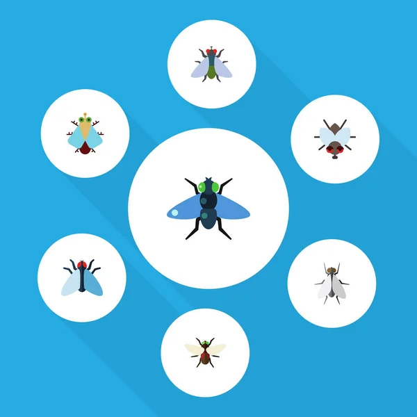 Flat Icon Housefly Set de fumier, mouche, bouteille bleue et autres objets vectoriels. Comprend également des insectes, bourdonnement, éléments minuscules . — Image vectorielle