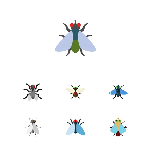 Flat Icon Fly Set Of Fly, Tiny, Dung And Other Vector Objects. Also Includes Housefly, Hum, Fly Elements. — Stock Vector