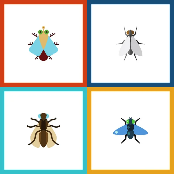 Flat Icon Housefly Set of Mosquito, Dung, Hum and Other Vector Objects. Также включает в себя Housefly, Fly, Elements . — стоковый вектор