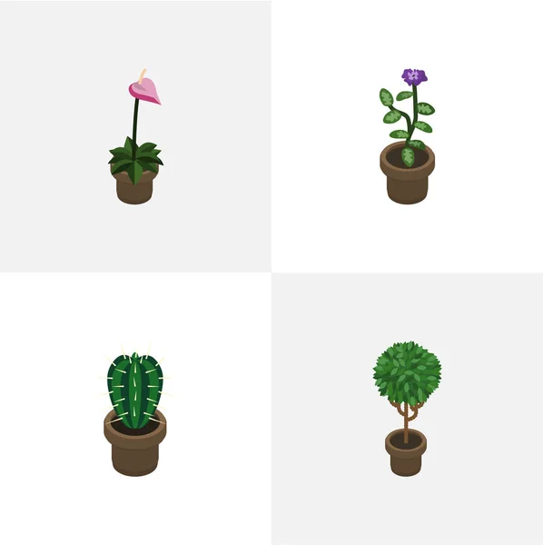 Conjunto de flores isométricas de cultivador, flor, peyote y otros objetos vectoriales. También incluye cactus, maceta, elementos de flores . — Archivo Imágenes Vectoriales