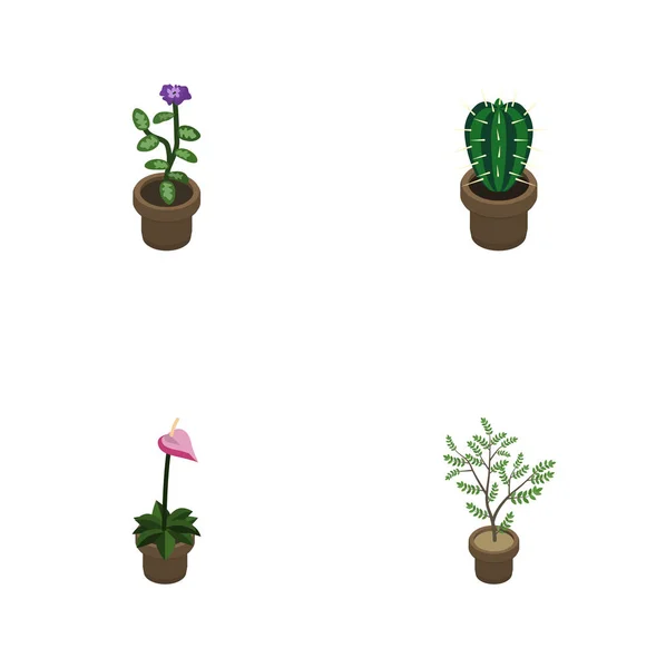 Isometrisk blomma uppsättning av Peyote, odlaren, ormbunke och andra vektorobjekt. Innehåller också växt, Peyote, blomma element. — Stock vektor
