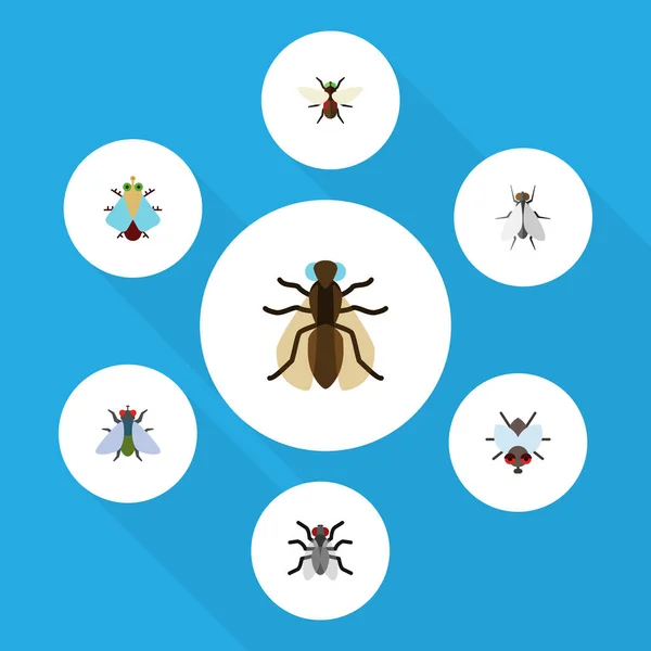 Flache Symbolsummen aus Summen, Summen, winzigen und anderen Vektorobjekten. enthält auch Mücken, Dung, Blaubeeren-Elemente. — Stockvektor