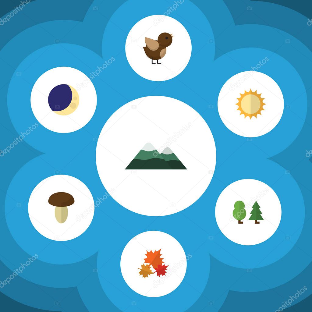 Flat Icon Bio Set Of Bird, Half Moon, Canadian And Other Vector Objects. Also Includes Pinnacle, Sunshine, Champignon Elements.