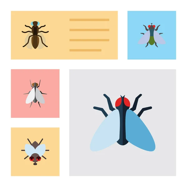 Flache Icon Buzz Set von Buzz, Mücke, Stubenfliege und anderen Vektorobjekten. enthält auch Stubenfliege, Fliege, Sumpfelemente. — Stockvektor