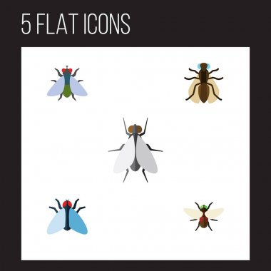 Düz simge Buzz seti uğultu, Bluebottle, Sivrisinek ve diğer vektör nesneleri. Buzz, Sivrisinek, gübre öğeleri de içerir.