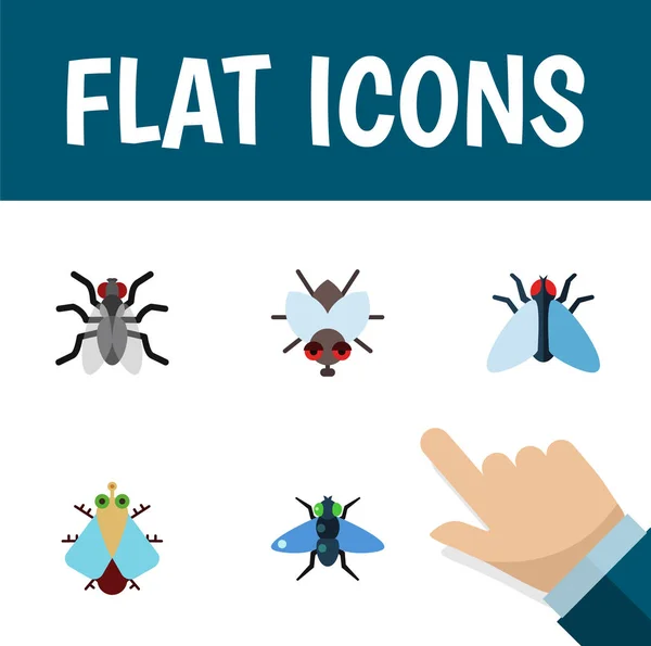 Platte vliegen pictogrammenset Gnat, huisvlieg, Buzz en andere vectorobjecten. Bevat ook de huisvlieg, Bluebottle, Dung elementen. — Stockvector