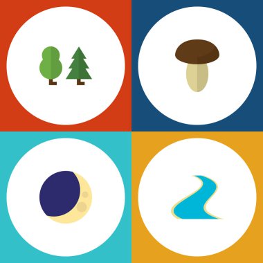 Champignon, orman, kolu ve diğer vektör nesnelerini düz simgesi doğal kümesi. Ayrıca Haliç, ahşap, mantar öğeleri içerir.