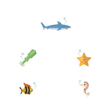 Deniz yıldızı, köpekbalığı, ahtapot ve diğer vektör nesnelerini düz simgesi deniz kümesi. Ayrıca deniz yıldızı, dokunaç, gri öğeleri içerir.