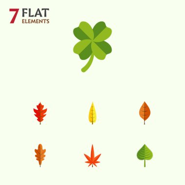 Düz simgesi yaprakları kümesi Hickory, akçaağaç, yeşillik ve diğer vektör nesneleri. Ayrıca Aspen, yeşillik, yaprak öğeleri içerir.