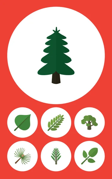 Icono plano Naturaleza Conjunto de romero, follaje, árbol y otros objetos vectoriales. También incluye Parque, Selva, Elementos de Acacia . — Vector de stock