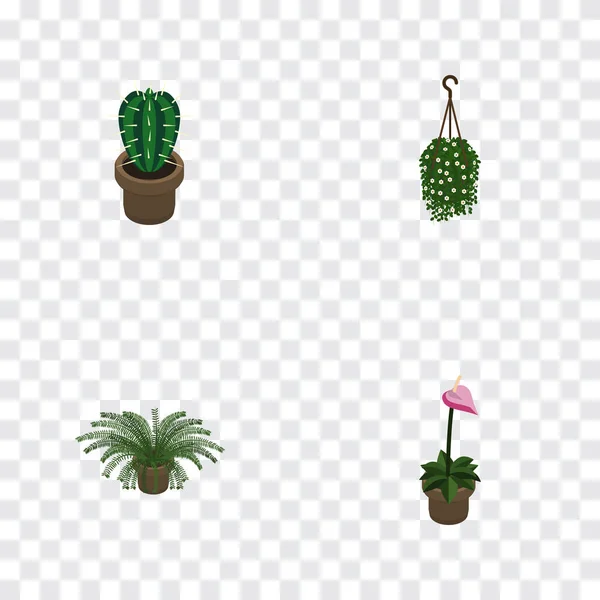 Conjunto de plantas isométricas de flores, cultivadores, plantas y otros objetos vectoriales. También incluye maceta, planta, elementos de peyote . — Archivo Imágenes Vectoriales