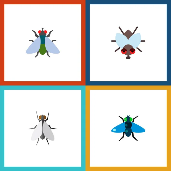 Icône mouche plate ensemble de mouche, buzz, insectes et autres objets vectoriels. Comprend également mouche, insecte, éléments buzz . — Image vectorielle