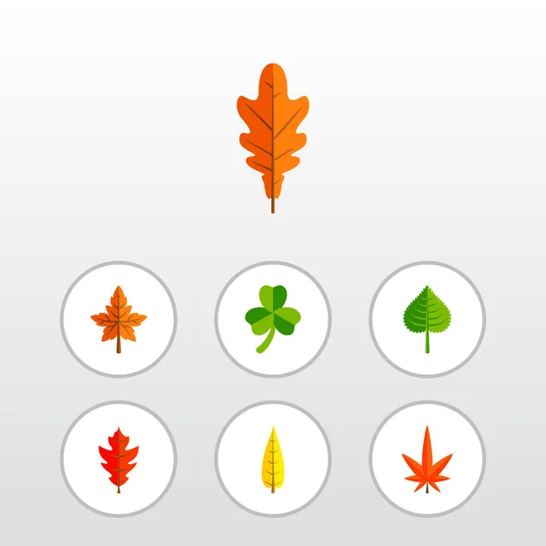 Icon flat leaf set of frond, alder, oaken and other vector objects. Also includes leaf, linden, frond elements. — Stock Vector